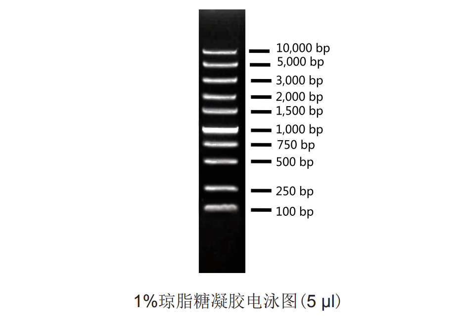 Super DNA Marker.png