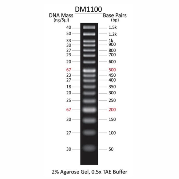 DM1100.png