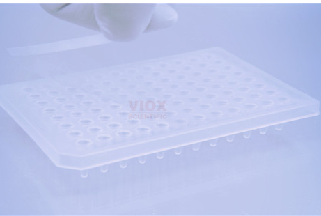 荧光定量专用封板膜.png