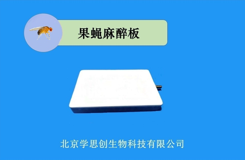 果蝇麻醉板.png
