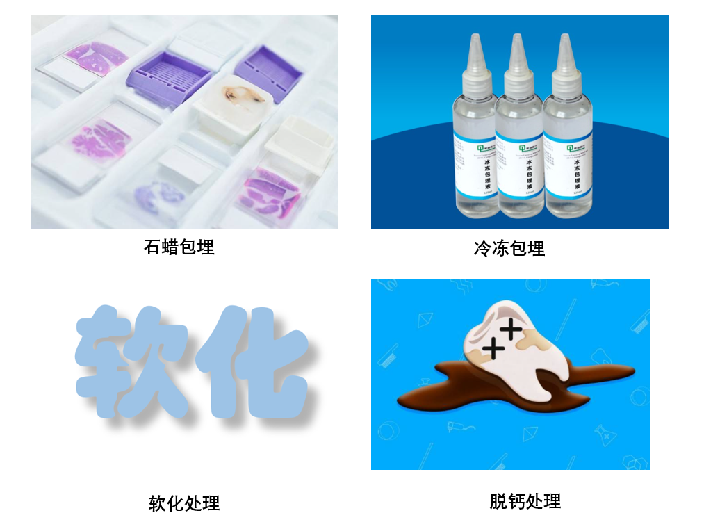切片前处理.png