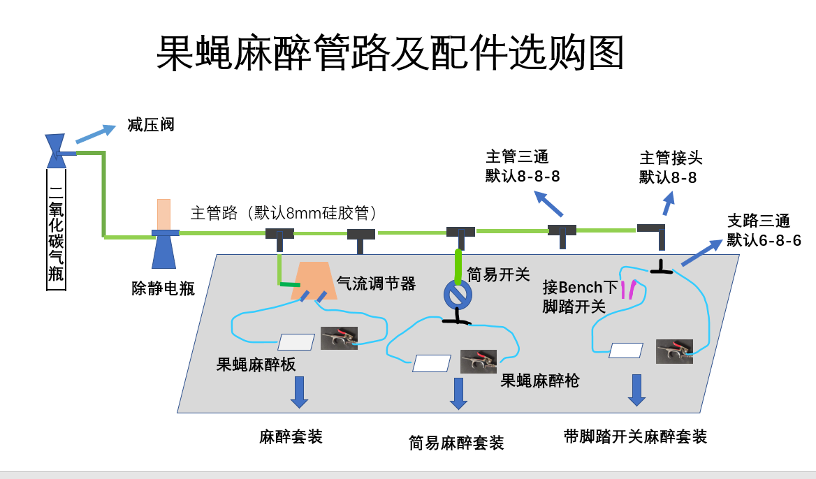 果蝇麻醉管路图.png