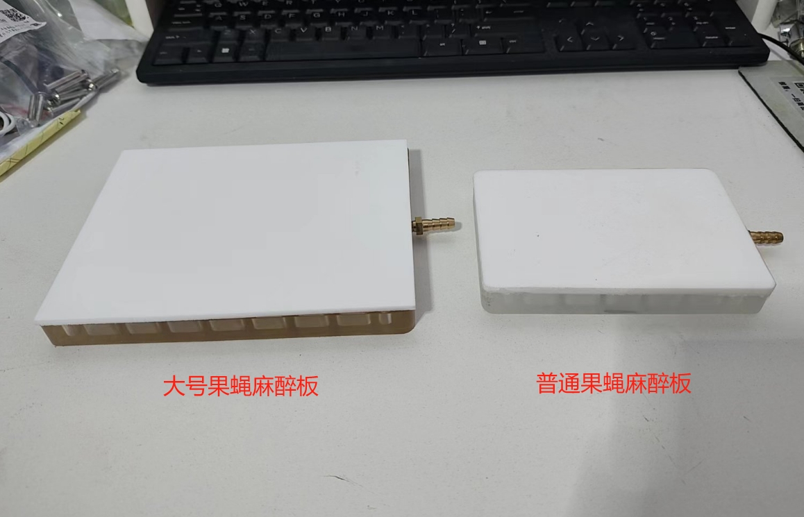 大号果蝇麻醉板.png