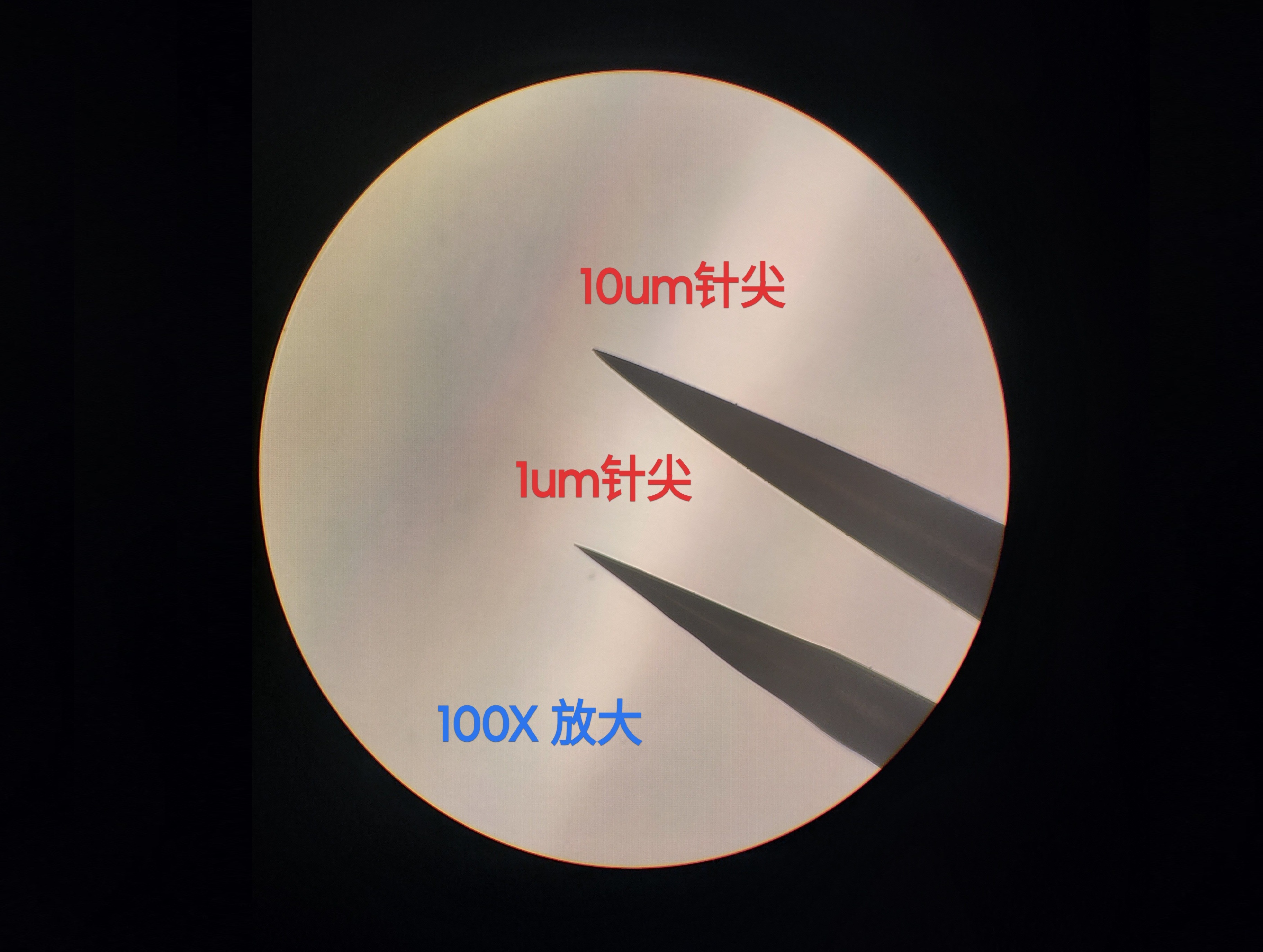 超细精密解剖针1.jpg
