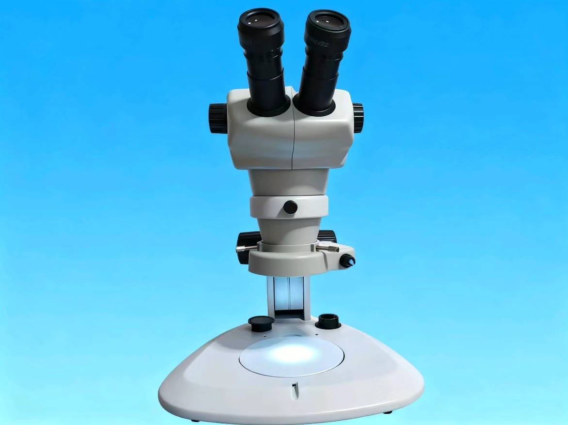 1761102264964052.png XSC-LM6.png