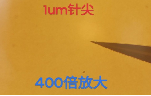 1um针尖解剖针.jpg