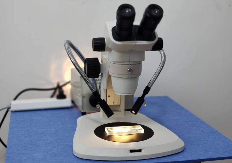 果蝇实验室体视显微镜