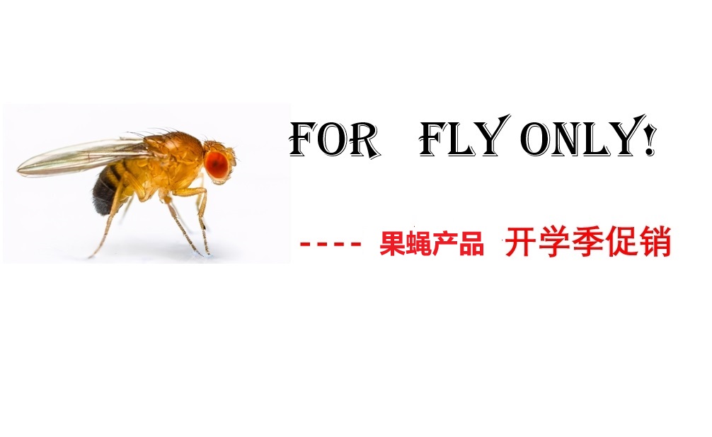 26年秋季开学季促销----果蝇