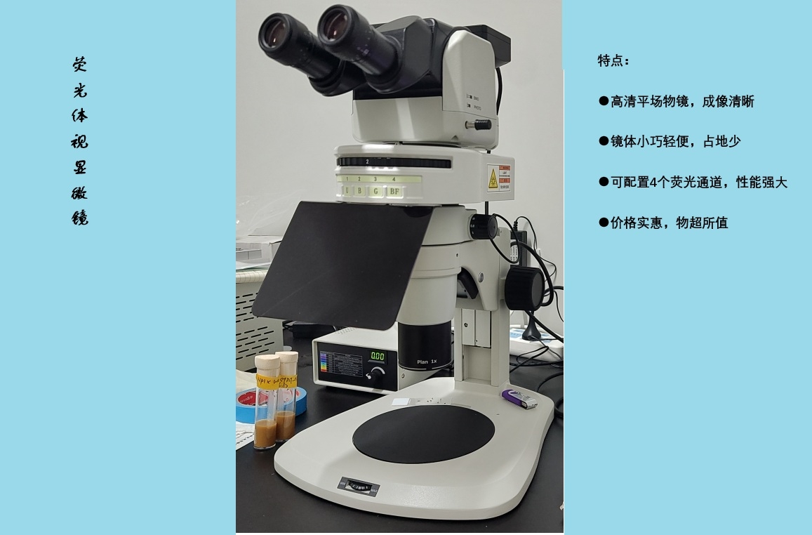 新品上市，有买有送